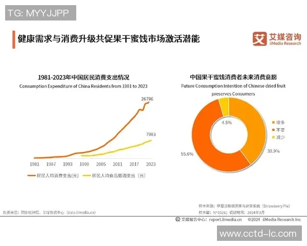 南京排球队边路渗透创新探索与战术变革的深度剖析